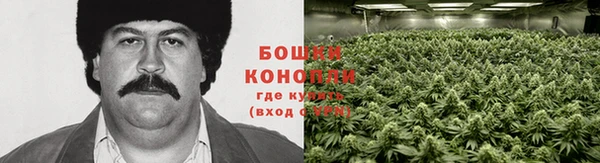 apvp Богородицк