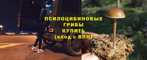 бошки Богданович