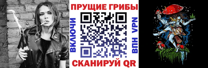 Псилоцибиновые грибы прущие грибы Бузулук